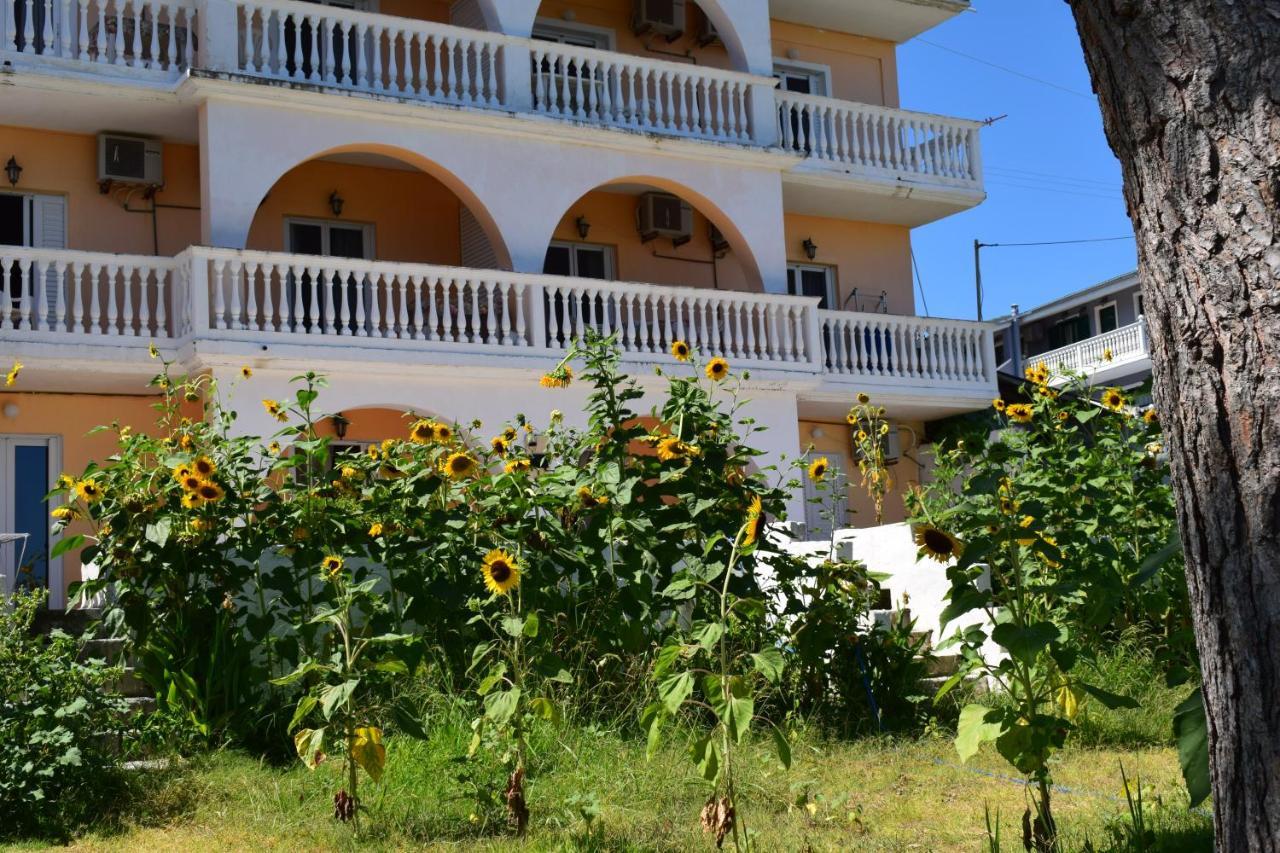 אמודי Red Sun Apartments מראה חיצוני תמונה